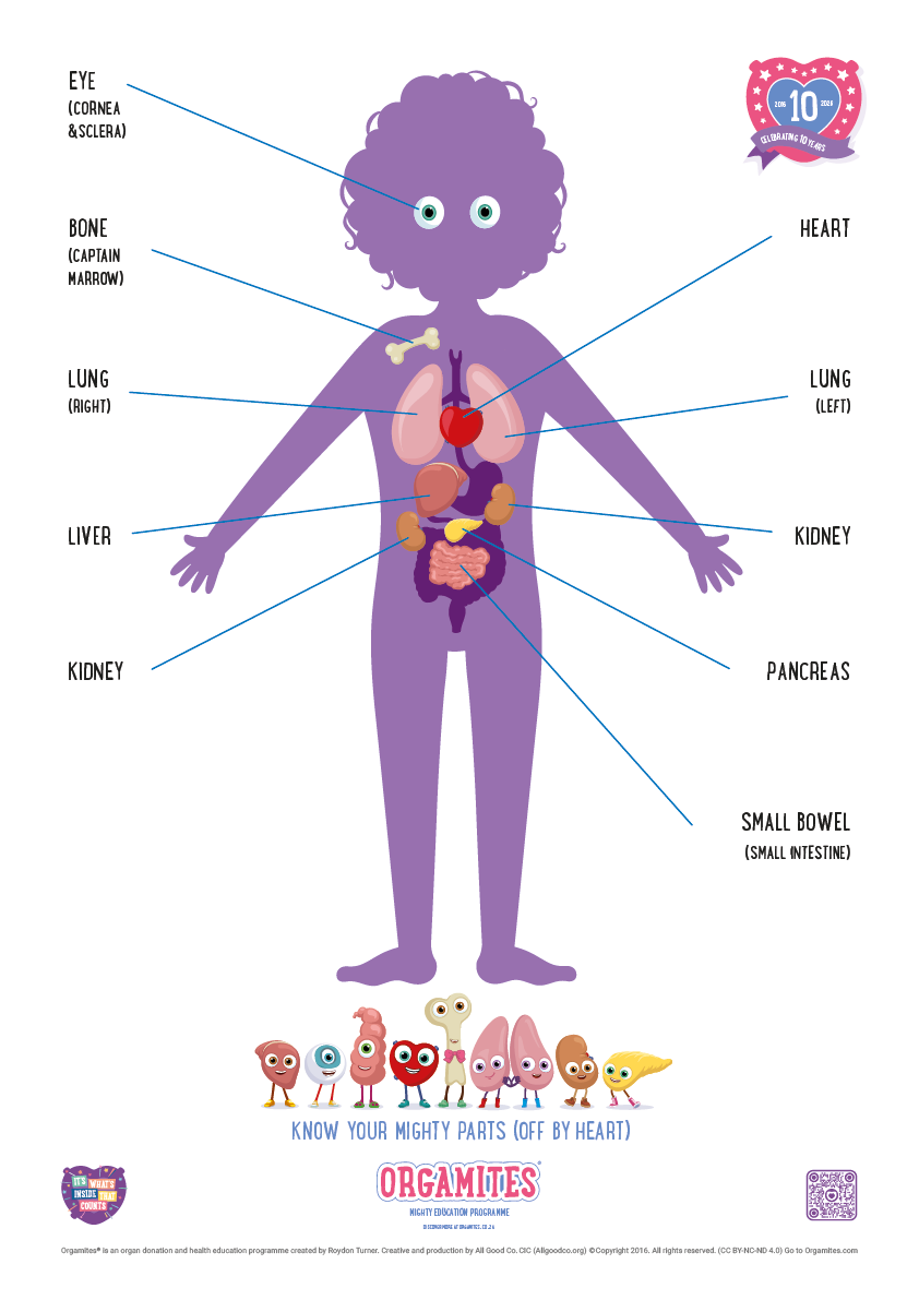 Awareness Classroom Posters_RSA-01