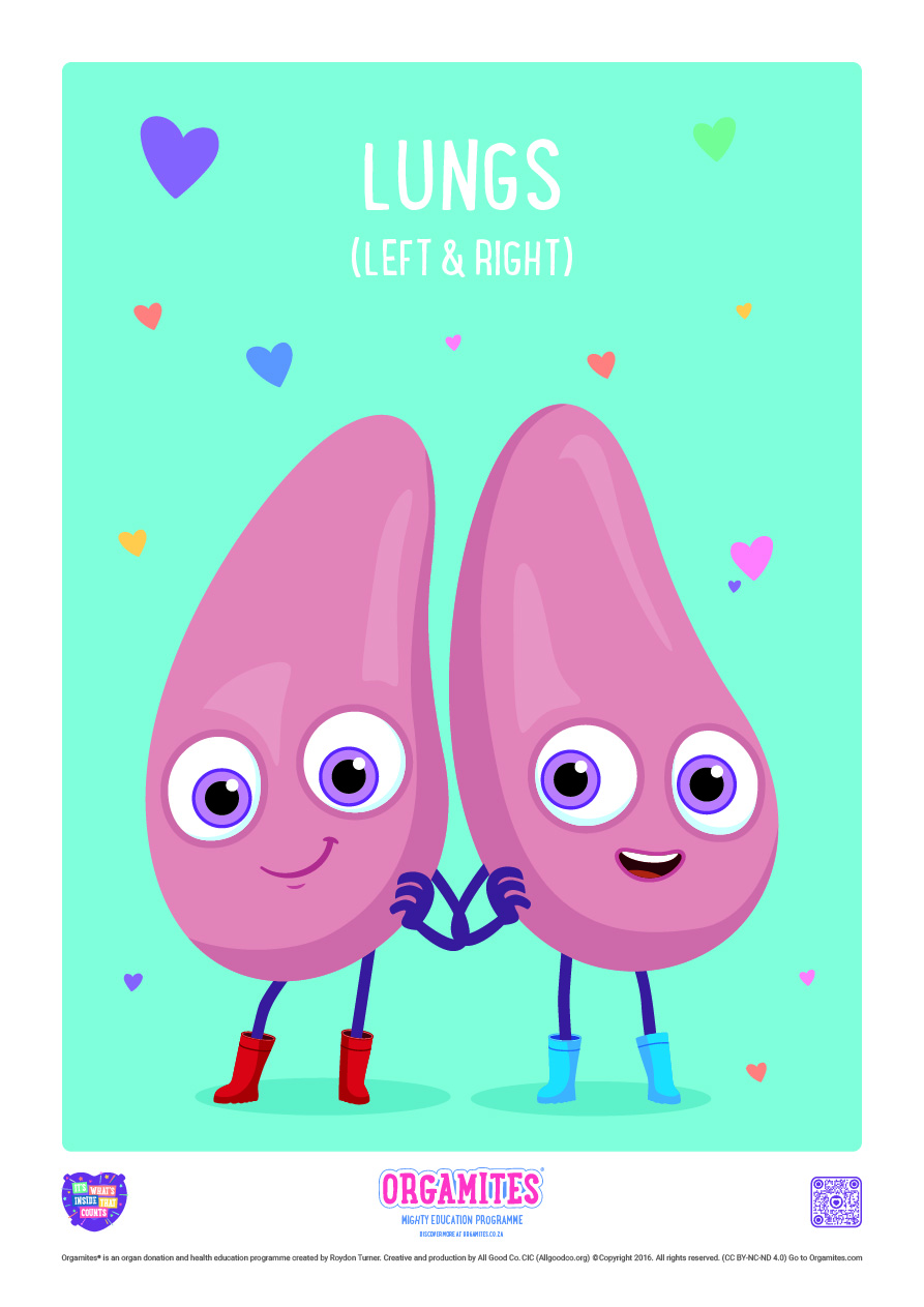 Meet the Orgamites_Lungs_RSA