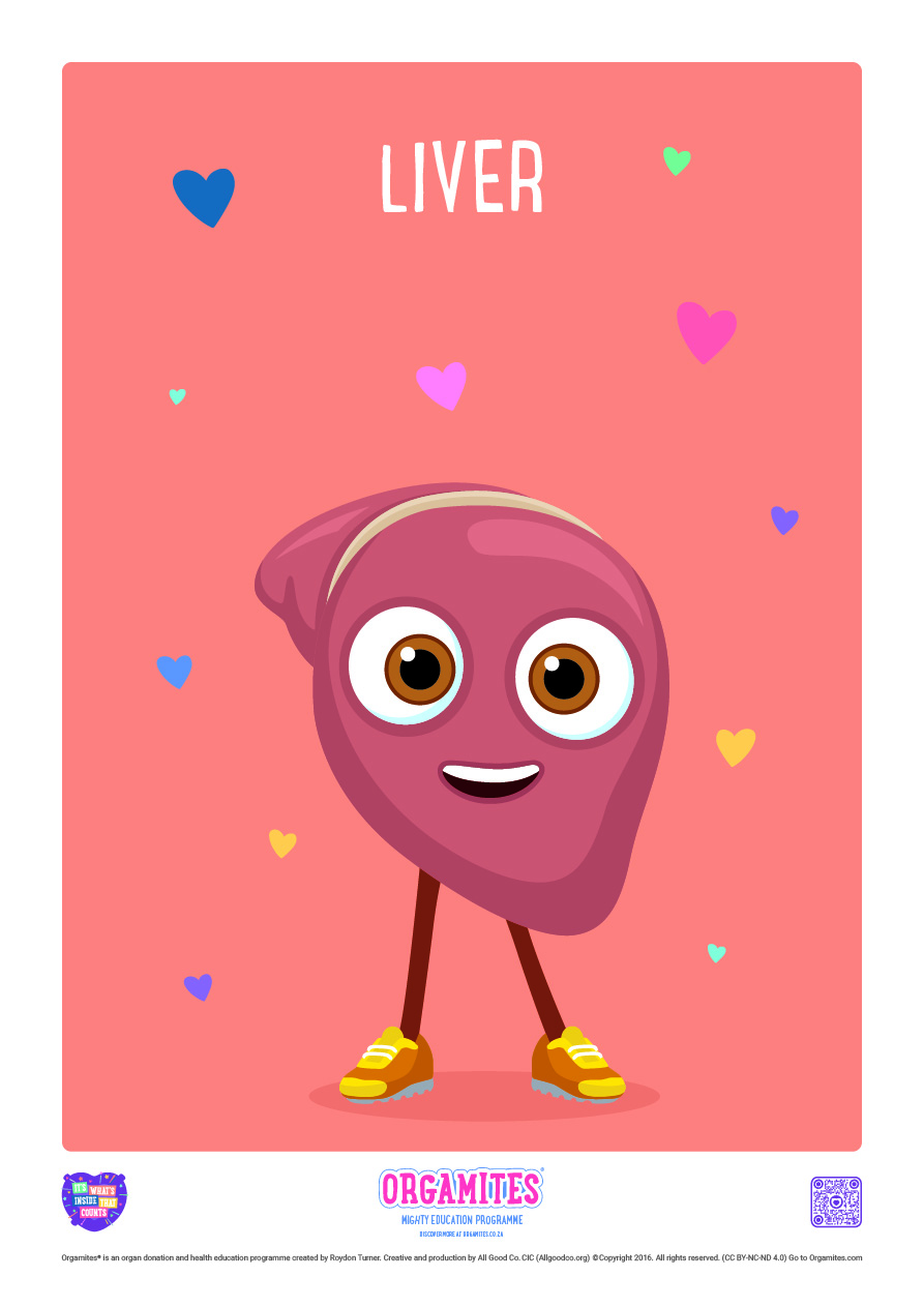 Meet the Orgamites_Liver_RSA