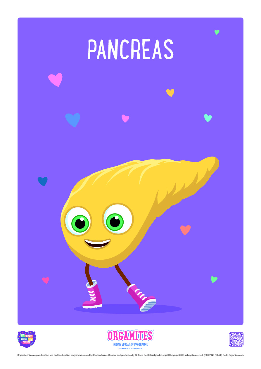Meet the Orgamites - Pancreas